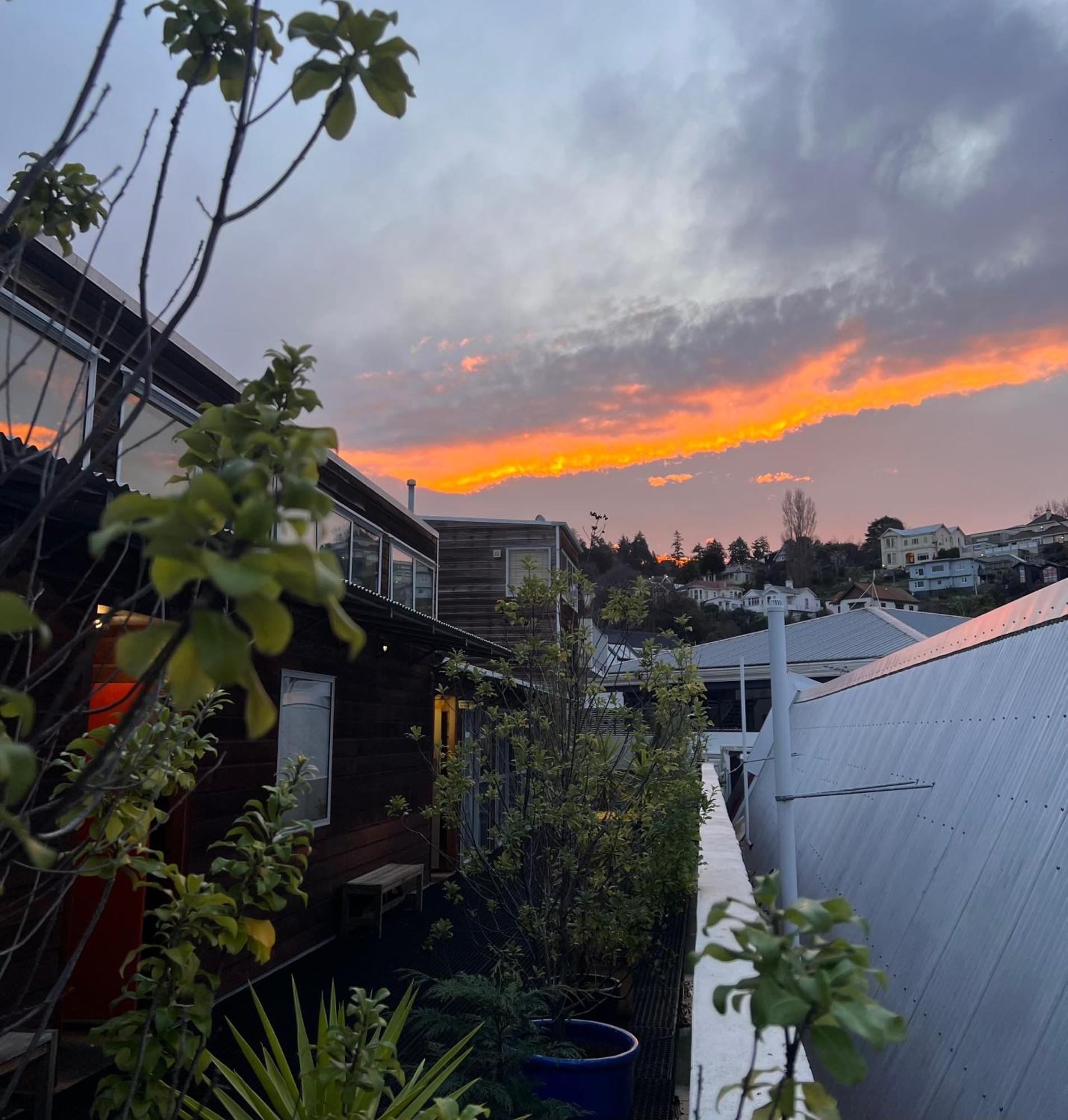 On Top Backpackers Dunedin Dış mekan fotoğraf